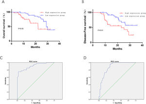 Effect of HAS2-AS1 expression on OS and PFS in glioma patients and corresponding prognostic value. The (A) OS and (B) PFS of patients with high HAS2-AS1 expression were compared with those of patients with low expression; the predictive value of HAS2-AS1 expression in (C) OS (sensitivity of 75%, specificity of 97.5%) and (D) PFS (sensitivity of 95%, specificity of 85%) of glioma patients.