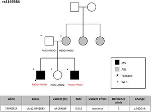 Pedigree chart of the family including homozygous carriers of rs4149584, and the variant’s association with MS. AID: other autoimmune diseases; MS: multiple sclerosis; WES: exome sequencing.