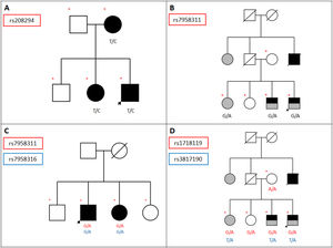 Pedigrees of the families meeting the criteria proposed by Sadovnick et al.: variants present in unaffected family members and not observed in at least 2 family members with MS were considered not to segregate with disease. A) Family displaying variant rs208294 (463 T>C), which was found in patients with MS but not in unaffected family members; the mutation was present in heterozygosis. B) Pedigree of a family including 4 siblings, 2 of whom have MS, and their parents (the father is deceased), who did not have the disease. This family displays variant rs7958311 (809 G>A) in heterozygosis in the affected individuals only. C) Family displaying variants rs7958311 (809 G>A) and rs7958316 (827 G>A), both of which were present in heterozygosis in 2 patients with MS; the variants were not observed in the 2 unaffected individuals. D) Family showing an association between CAMKK2 variant rs3817190 and P2RX7 variant rs1718119 in 2 patients with MS plus another AID and in one patient with an AID, but not in healthy family members. Arrow: proband; red asterisk: variant; blue arterisk: variant; black: MS; grey: AID.