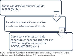 Diagnostic algorithm for the genetic study of patients with suspected CMT.