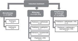 Schematic representation of the induction treatment in 16 patients with immune-mediated necrotizing myopathy. IVIG: intravenous immunoglobulins.
