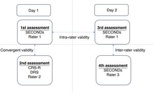 Validation procedure. CRS-R: Coma Recovery Scale-Revised; DRS: Disability Rating Scale; SECONDs: Simplified Evaluation of Consciousness Disorders scale.