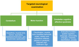 Targeted neurological examination. Information about all 3 aspects should be included in the medical history.