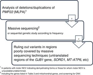 Pasos secuenciales recomendados para el estudio genético de pacientes con sospecha de CMT.