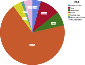 Final diagnoses established after emergency EEG recording in our series.