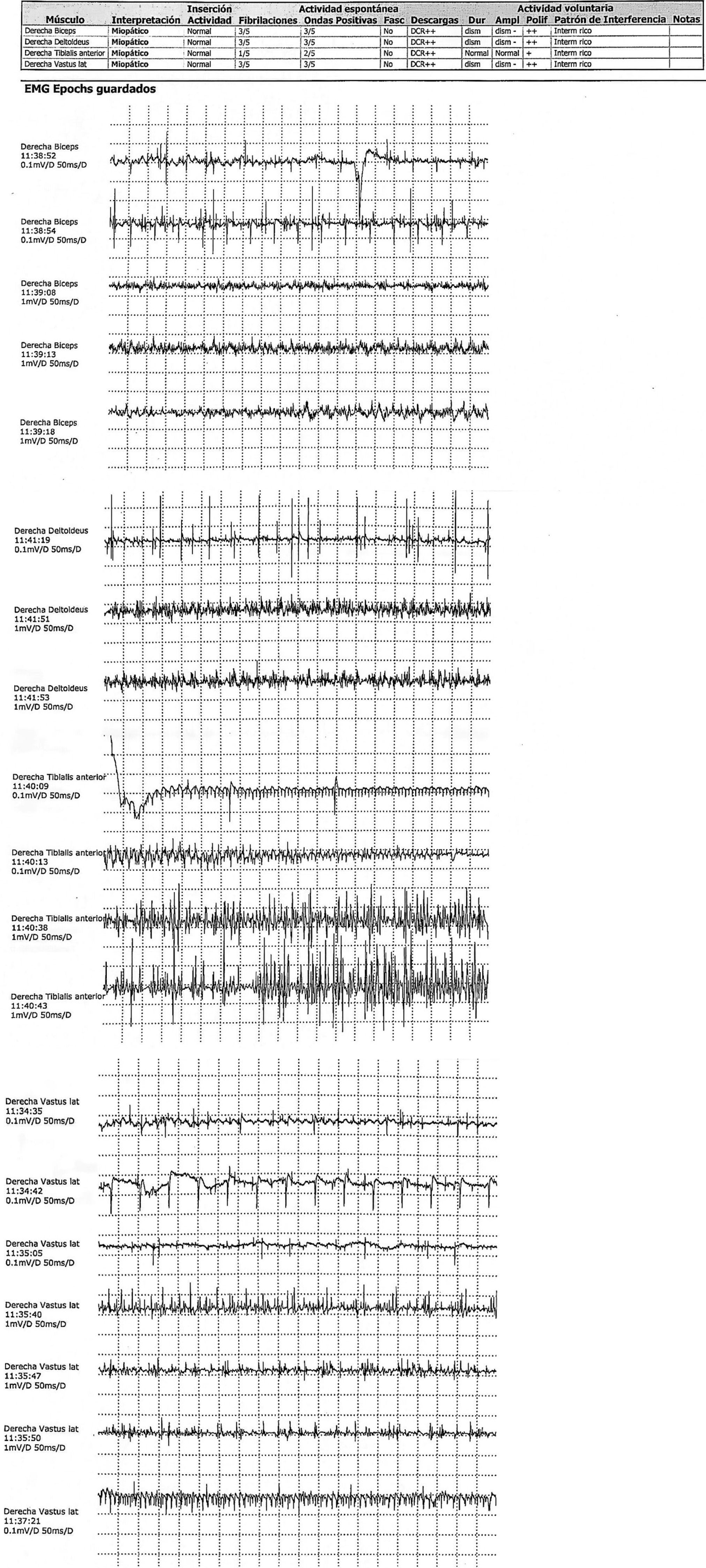 fig0005