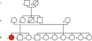 Genealogical tree. III-1: index case. II-3: sudden death.