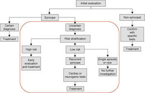 Diagnostic and therapeutic management of patients with transient loss of consciousness (suspected syncope), based on the European Society of Cardiology guidelines, version 2009.