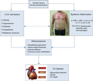 Diagram of the relationships between psoriasis, cardiovascular risk factors, atherosclerosis and cardiovascular disease. CV: cardiovascular.