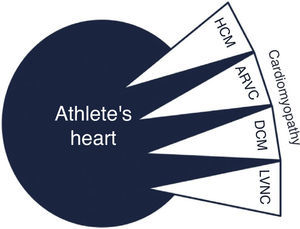 Overlap between cardiomyopathy and athlete