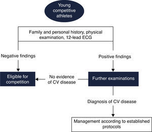 Proposed European Society of Cardiology screening protocol for young competitive athletes (adapted from 72). CV: cardiovascular; ECG: electrocardiogram.