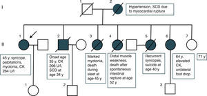 Pedigree of the presented family. CK: creatine kinase; SCD: sudden cardiac death; y: years.