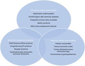 Structural, electrical and acquired abnormalities associated with sudden cardiac death in athletes. Adapted from Chandra et al.1