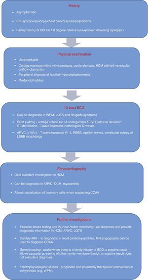 Algorithm for evaluating athletes for conditions capable of causing sudden cardiac death. ARVC: arrhythmogenic right ventricular cardiomyopathy; CCAA: congenital coronary artery anomaly; <span class=