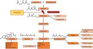 endothelial nitric oxide synthase