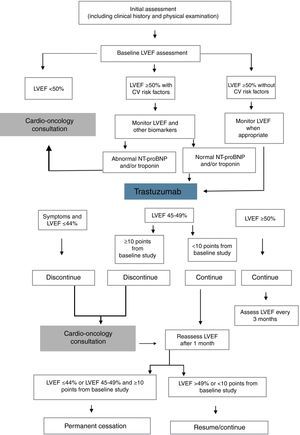 Decision algorithm for detection and monitoring of types I and II cardiotoxicity during chemotherapy with trastuzumab. CV: cardiovascular; LVEF: left ventricular ejection fraction. Adapted from Rashi et al.60