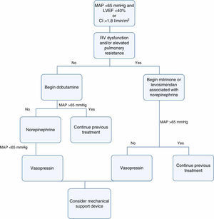 Proposed therapeutic scheme for patients in cardiogenic shock unresponsive to fluid therapy. CI: cardiac index; LVEF: left ventricular ejection fraction; MAP: mean arterial pressure; RV: right ventricular.