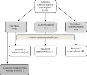 Diagram of the population with iatrogenic bradyarrhythmia according to etiology and response to correction of potentially reversible causes. PM: pacemaker implantation.