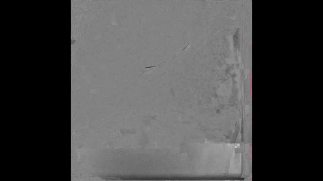 https://ars.els-cdn.com/content/image/1-s2.0-S2174204919300911-mmc1.mp4