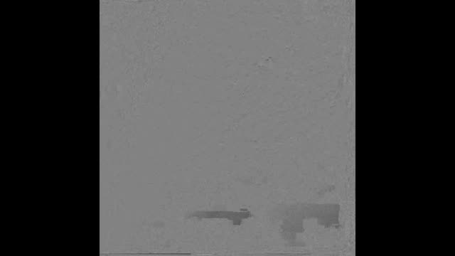 https://ars.els-cdn.com/content/image/1-s2.0-S2174204919300911-mmc2.mp4