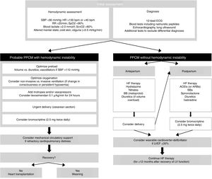 Algorithm for management of patients with peripartum cardiomyopathy (adapted from Bauersachs et al.12). ACEIs: angiotensin-converting enzyme inhibitors; ARBs: angiotensin receptor blockers; BBs: beta-blockers; ECG: electrocardiogram; HF: heart failure; HR: heart rate; IV: invasive ventilation; LV: left ventricular; LVEF: left ventricular ejection fraction; PPCM: peripartum cardiomyopathy; RR: respiratory rate; SBP: systolic blood pressure; SpO2: peripheral oxygen saturation; SvcO2: central venous oxygen saturation.