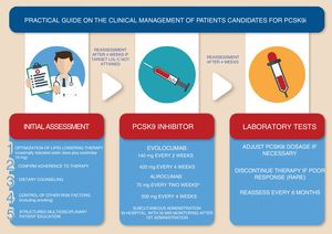 Clinical management of patients under PCSK9 inhibitors. a Can be adjusted to 150 mg.