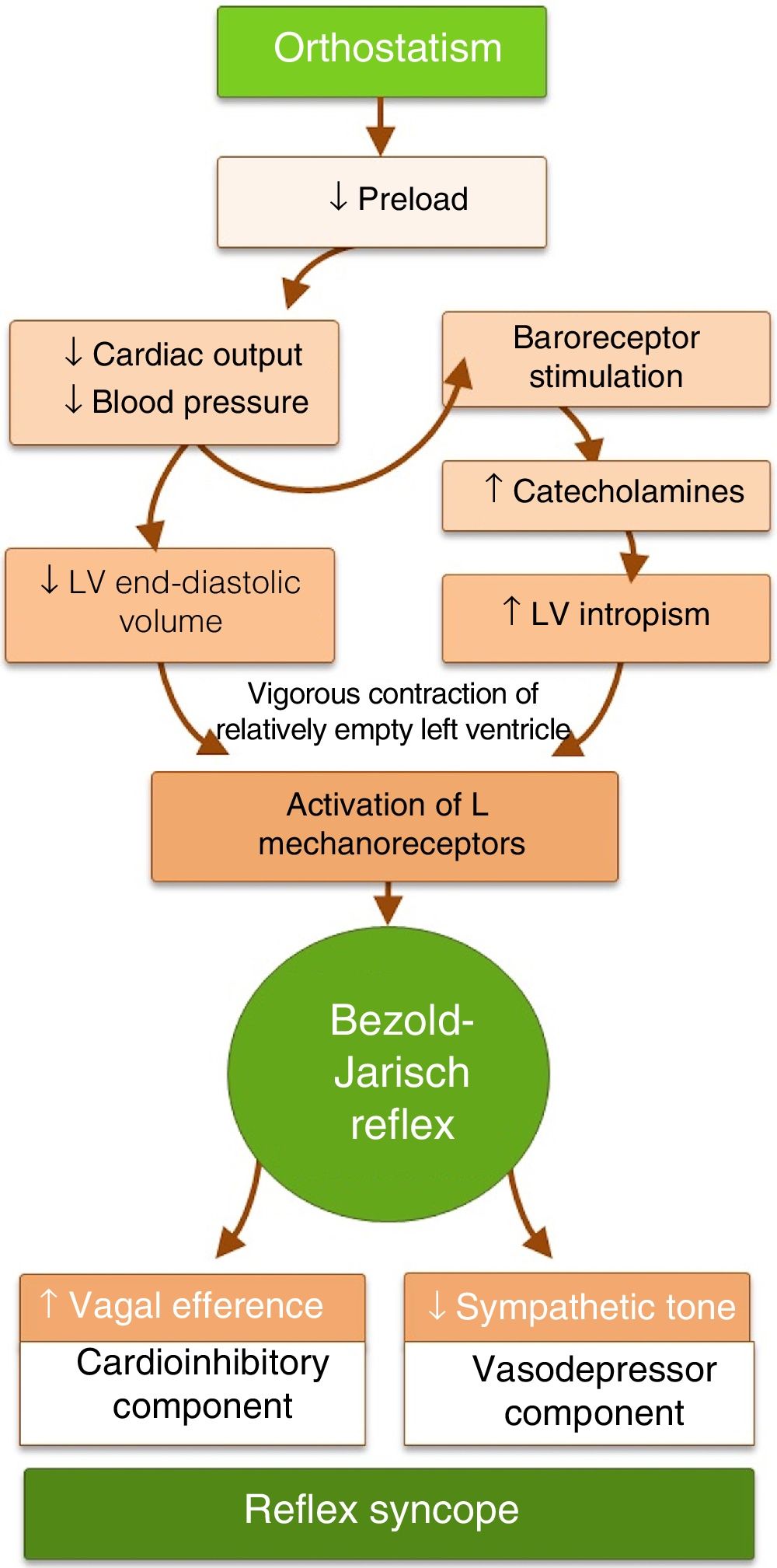 Diagnostic and therapeutic approach to cardioinhibitory reflex syncope ...