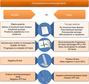 Differential diagnosis of causes of syncope associated with atrioventricular block. ATP: adenosine triphosphate; AV: atrioventricular; HR: heart rate.