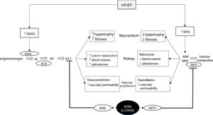 Diagram of the functioning of the renin-angiotensin-aldosterone and natriuretic peptide systems in heart failure, together with the action of sacubitril/valsartan, the first angiotensin receptor neprilysin inhibitor to be marketed. ACE: angiotensin-converting enzyme; AI: angiotensin I; AII: angiotensin II; ANP: atrial natriuretic peptide; ARB: angiotensin receptor blocker; ARNI: angiotensin receptor neprilysin inhibitor; AT1: angiotensin receptor 1; BNP: brain-type natriuretic peptide; HFrEF: heart failure with reduced ejection fraction; NPS: natriuretic peptide system; NEP: neprilysin; NEPI: neprilysin inhibitor; RAAS: renin-angiotensin-aldosterone system. Adapted from Ansara et al.99.