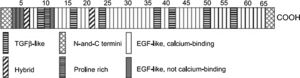 Schematic representation of the organization of the gene for fibrillin-1 (adapted from Nollen et al.52). EGF-like: domains homologous to epidermal growth factor; TGF-β-like: domains homologous to those in latent transforming growth factor-beta.