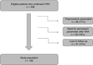 Study flow chart. TAVI: transcatheter aortic valve implantation.