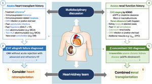 Candidate selection for heart retransplantation combined with renal allograft. AKI: acute kidney injury; CAV: coronary artery vasculopathy; CKD: chronic kidney disease; CMV: cytomegalovirus; DM: diabetes mellitus; eGFR: estimated glomerular filtration rate; EPO: erythropoietin; HF: heart failure; ISHLT: International Society for Heart and Lung Transplantation; HLA: human leukocyte antigen; KDIGO: Kidney Disease Improving Global Outcomes; MICA: MHC class I-related chain A; UNa+: urinary sodium. * includes both pharmacological and non-pharmacological (e.g. smoking and/or alcohol cessation) treatment.