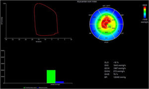 Measurement of left ventricular myocardial work indices by two-dimensional transthoracic echocardiography in the acute phase. Results from myocardial work analysis: global work index (GWI): 1643 mmHg%, global constructive work (GCW): 1987 mmHg%, global wasted work (GWW): 272 mmHg%, global work efficiency (GWE): 76%. Reference ranges reported by the NORRE study for the age (20-40 years) and female subgroup: GWI 1800±251 mmHg%, GCW 2109±289 mmHg%, GWW 48-145 mmHg%, GWE 94-97%.17 The bull