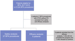 Flowchart of the study population. BPA: balloon pulmonary angioplasty; CTED: chronic thromboembolic disease; PH: pulmonary hypertension.