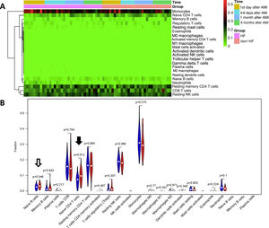 Comparison of cell types between heart failure and non-heart failure samples. (A) Heatmap showing 22 different cell types in 34 heart failure samples and 30 non-heart failure samples; (B) violin plot comparing 22 different cell types between heart failure and non-heart failure samples. Naive B cells (p=0.046, hollow arrow) and naive T cells CD4 (p=0.012, black arrow) differed significantly between heart failure and non-heart failure samples. No significant difference was seen in other cell types. AMI: acute myocardial infarction; HF: heart failure.