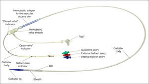 – Delivery System (Ensemble®) developed specifically for the Melody® valve implantation. (Photos provided by Medtronic.) BIB=balloon-in-balloon.