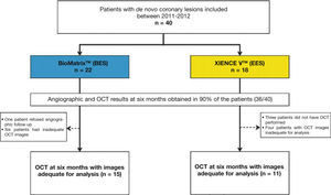 Study flowchart. Inclusion of patients in the study, identification of group to which they were allocated, and number of patients undergoing evaluation with optical coherence tomography (OCT). BES: A9-biolimus-eluting stent (BioMatrixTM); EES: everolimus-eluting stent (XIENCE VTM).