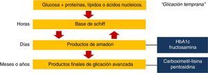 Formación endógena de productos finales de glicación avanzada.