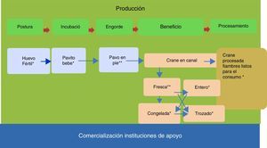 Cadena productiva del pavo.