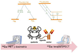 Esquemas de decay del cobre-64 y el cobre-67, y esquema principal del uso del par teragnóstico 64Cu/67Cu para preimagen, dosimetría y radioterapia consecuente. Adaptado de Krasnovskaya et al.3.