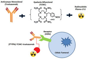 Representación esquemática de la radioinmunoconjugación para la obtención de 212Pb-TCMC-trastuzumab dirigido al receptor HER2. Adaptado de Yong et al.38