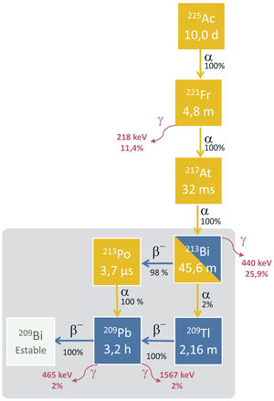 Rutas de semidesintegración del actinio-225 y del bismuto-213 (que forma parte de la cadena del actinio.