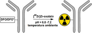Procedimientos generales de radiomarcaje de zirconio-89 conjugados de anticuerpos-DFO/DFO*. Adaptado de Wuensche et al.5.