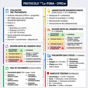 Cronograma de los pacientes en tratamiento con [177Lu]Lu-PSMA-617. AINE: antiinflamatorios no esteroideos; CLcr: aclaramiento de creatinina; CPRCm: cáncer de próstata resistente a la castración metastásico; ECOG: Eastern Cooperative Oncology Group; G-CSF: factor estimulante de colonias de granulocitos; GI: gastrointestinal; IV: intravenosa; PSA: antígeno prostático específico; PSMA: antígeno prostático específico de membrana.