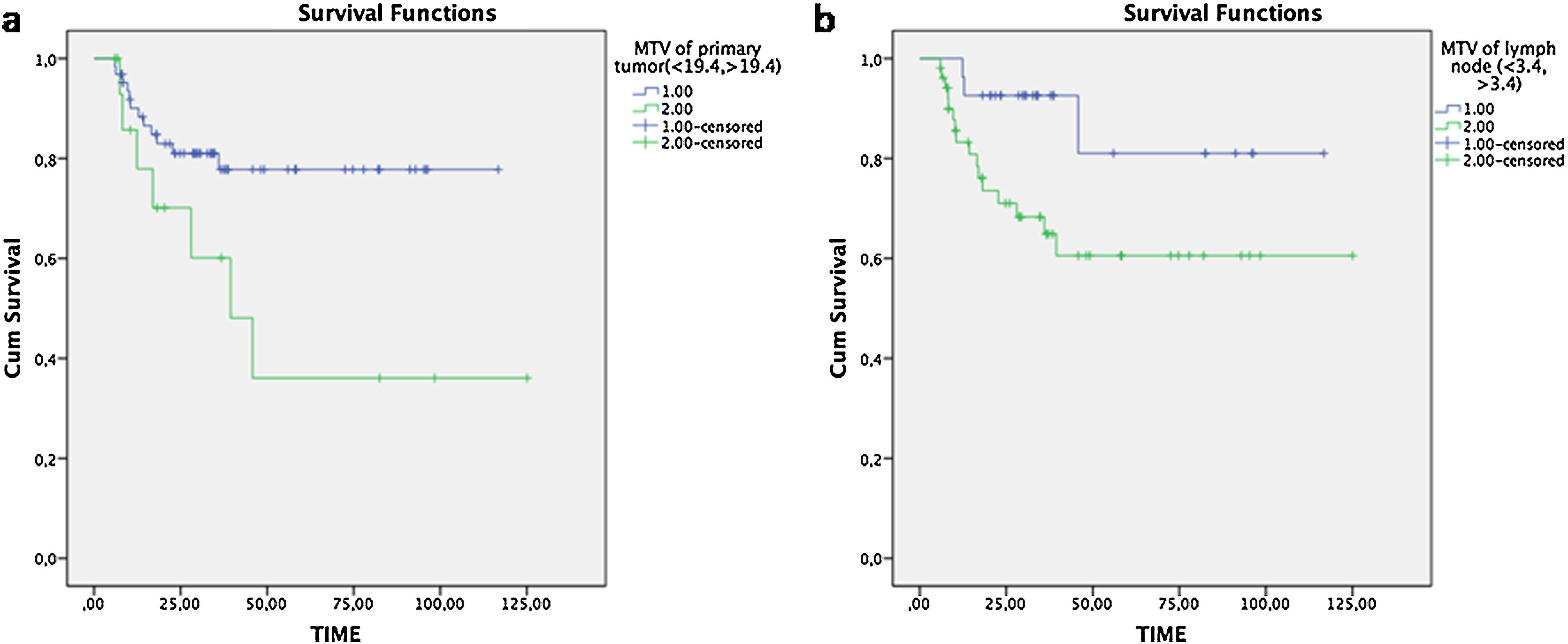 Prognostic value of primary tumor and lymph node volumetric metabolic ...