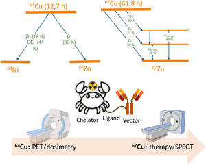 Decay schemes of copper-64 and copper-67 and the main scheme of the use of the theragnostic pair 64Cu/67Cu for preimaging, dosimetry, and the consequent radiotherapy. Adapted from Krasnovskaya et al.3