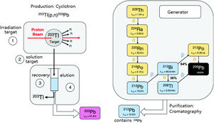 Production and purification of lead-203 (left) and decay chain of thorium-228 as a generator of lead -212 (right). Adapted from Inghman et al.27