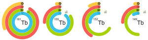 Representation of the current status of the production of the radioisotopes of terbium. The four rings symbolize the four main phases of the implementation of radiopharmaceuticals: the blue color demonstrates the status of the production of the cyclotron/reactor; the green line represents the preparation of the separation process and includes problems with the ampliation process in the last curve; the red line shows the preclinical studies and the yellow line indicates the development of good manufacturing practices and clinical implementation. Image originally published in Frontiers in Nuclear Medicine: Moiseeva AN, Favaretto C, Talip Z, Grundler P V., van der Meulen NP. Terbium sisters: current development status and upscaling opportunities. Front Nucl Med. 2024;4(October):1–14.1
