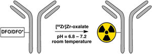 General procedures of radiolabeling of 89Zr to DFO/DFO* antibody conjugates. Adapted from Wuensche et al.5