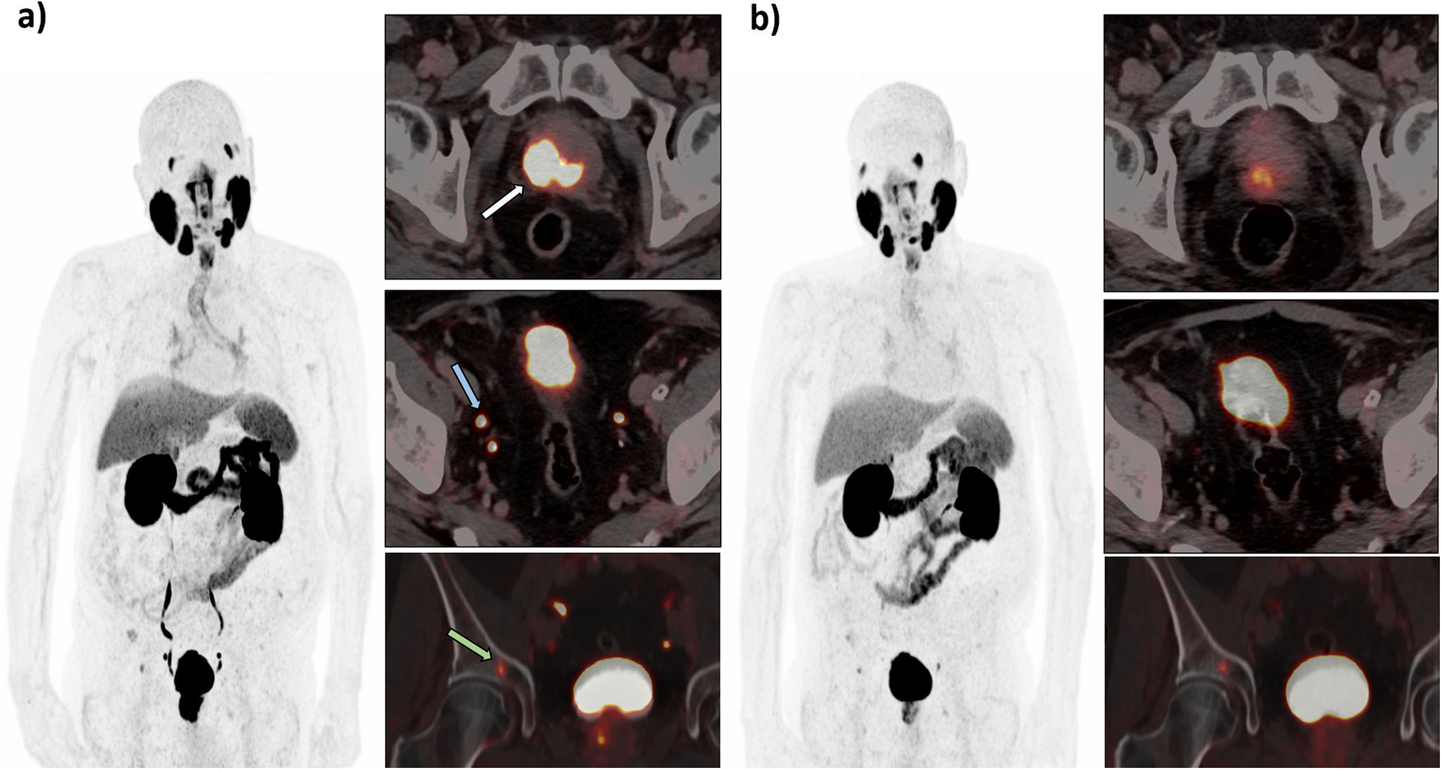 fig0010